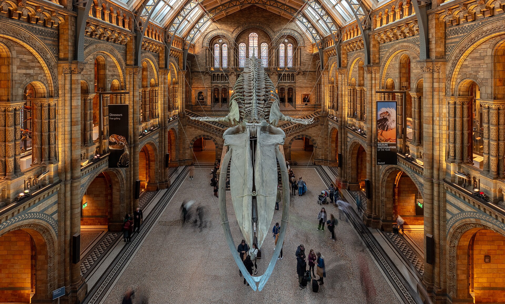 Natural History Museum for removals in Kensington and Chelsea